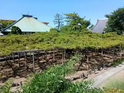 善養寺(東京都)