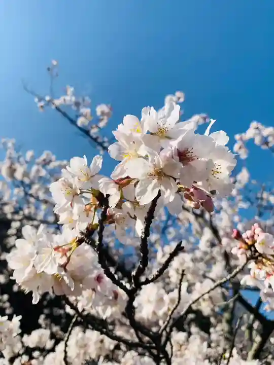 石内のお大師さん 金剛院(広島県)