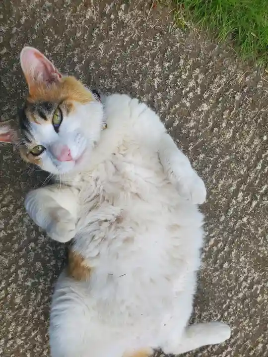 浄光院(栃木県)