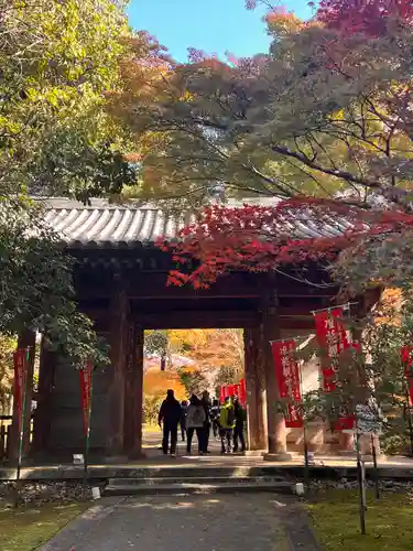醍醐寺の山門・神門