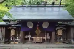 金崎宮の本殿