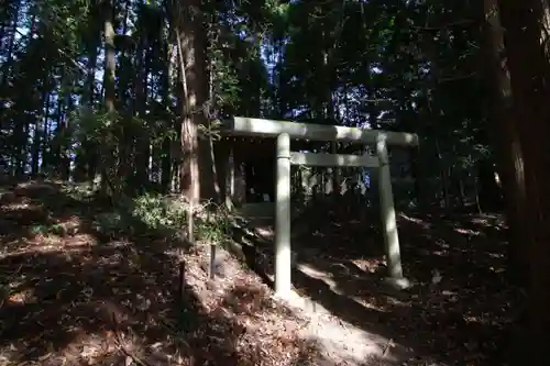 鹿島大神宮の鳥居