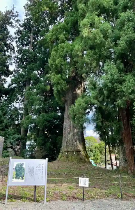 村山浅間神社(静岡県)