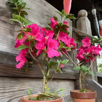高司神社〜むすびの神の鎮まる社〜(福島県)