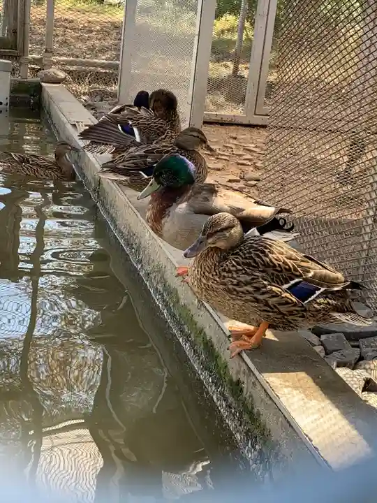 武蔵國八海山神社(埼玉県)