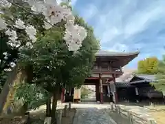 本法寺(京都府)