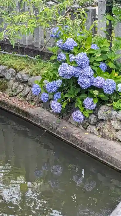 くろ谷 金戒光明寺(京都府)