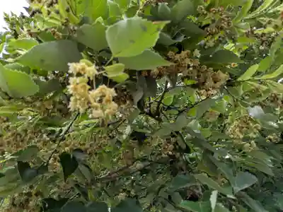 法華寺(岐阜県)