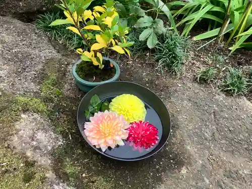 上野東照宮(東京都)