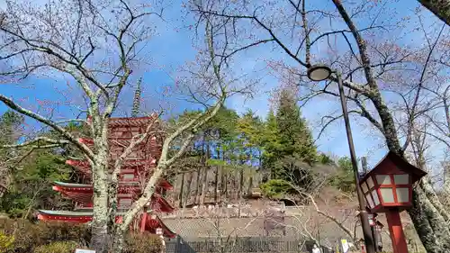 新倉富士浅間神社の景色