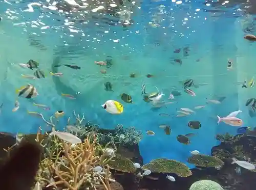 白狐山光星寺(山形県)