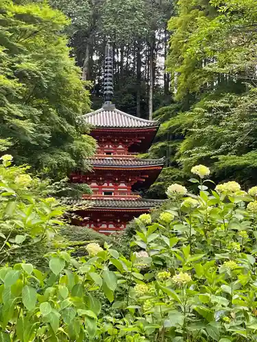 梅香寺(三重県)