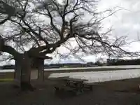 北向き地蔵堂(茨城県)