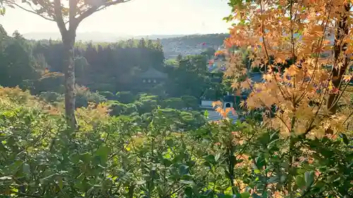 慈照寺（慈照禅寺・銀閣寺）(京都府)