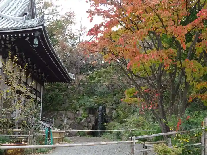 妙蓮寺の本殿・本堂