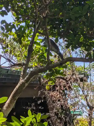 熱田神社(東京都)