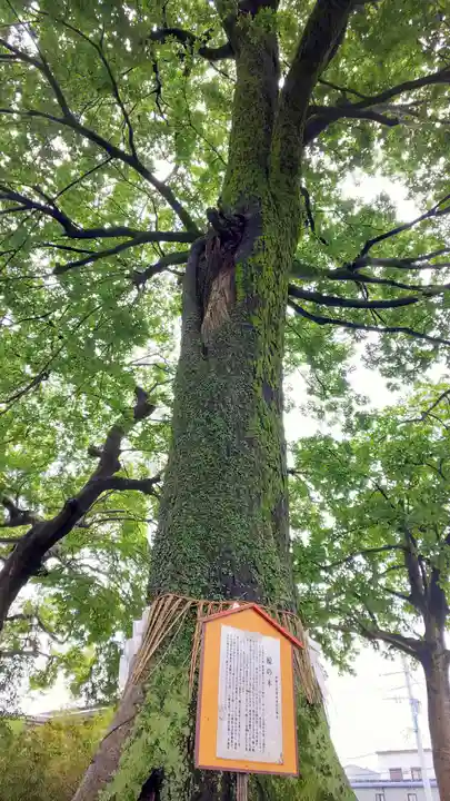 伊勢天照御祖神社(大石神社)のその他建物