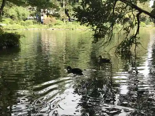 市杵島神社の庭園