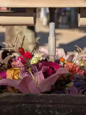 鳩森八幡神社の手水舎