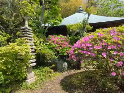 浄光明寺(神奈川県)