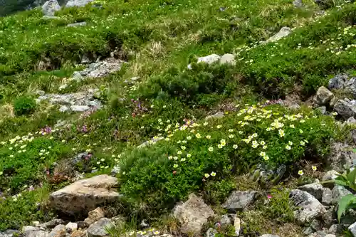 雄山神社峰本社の自然