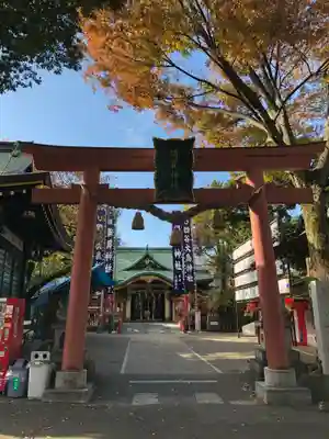 須賀神社の鳥居
