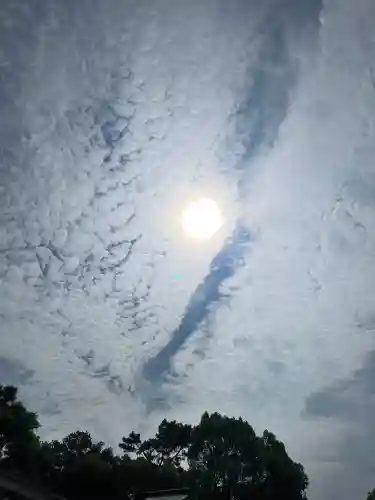 和泉國一之宮　大鳥大社(大阪府)