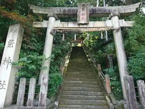 柴神社の鳥居