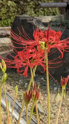 後白河院御聖蹟　法住寺(京都府)