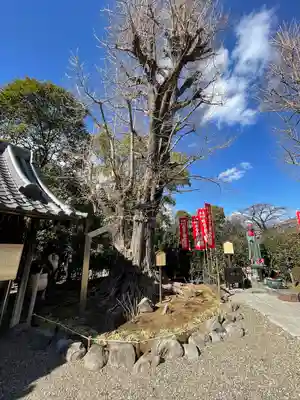 鎮護堂(東京都)