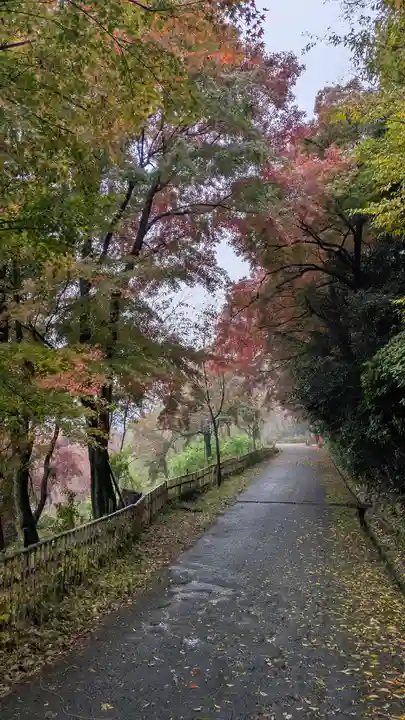 観音寺(山崎聖天)(京都府)