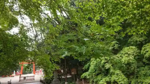 賀茂御祖神社（下鴨神社）のその他建物