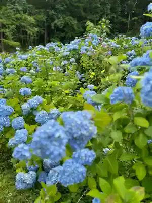 陽林寺(福島県)