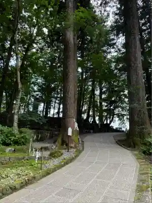富士山東口本宮 冨士浅間神社(静岡県)