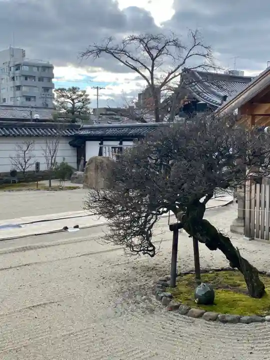 聖護院門跡の庭園