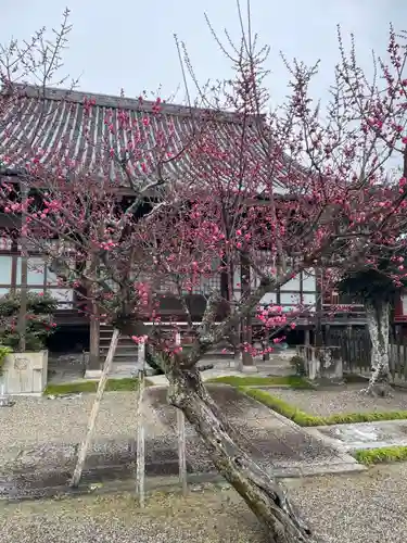 妙昌寺(三重県)