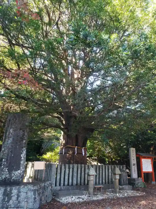 熊野速玉大社の{uncategorized: "未分類", other: "その他", undefined: "問題あり", building: "その他建物", grave: "お墓", sacred_gate: "鳥居", guardian: "狛犬", statue: "像", buddha: "仏像", history: "歴史", nature: "自然", garden: "庭園", animal: "動物", pagoda: "塔", temizu: "手水舎", mountain_gate: "山門・神門", sanctuary: "本殿・本堂", subordinate: "末社・摂社", art: "芸術", scenery: "景色", jizo: "地蔵", ema: "絵馬", goshuin: "御朱印", omikuji: "おみくじ", items: "授与品その他", amulet: "お守り", goshuincho: "御朱印帳", eats: "食事", festival: "お祭り", votive_dance: "神楽", shichigosan: "七五三参", wedding: "結婚式", experience: "体験その他", initially: "初詣", around: "周辺", anti_infection: "感染症対策"}