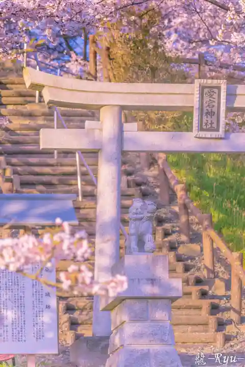 愛宕神社(宮城県)