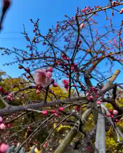 伊勢の国 四天王寺(三重県)(2025年02月18日(火) 09時53分06秒投稿)