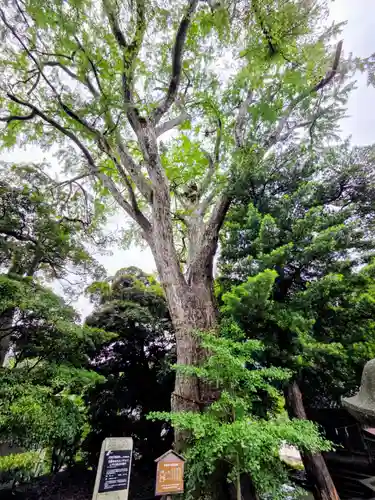 五霊神社(神奈川県)