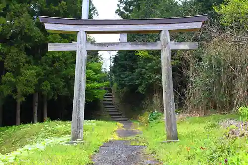 大井神社の鳥居