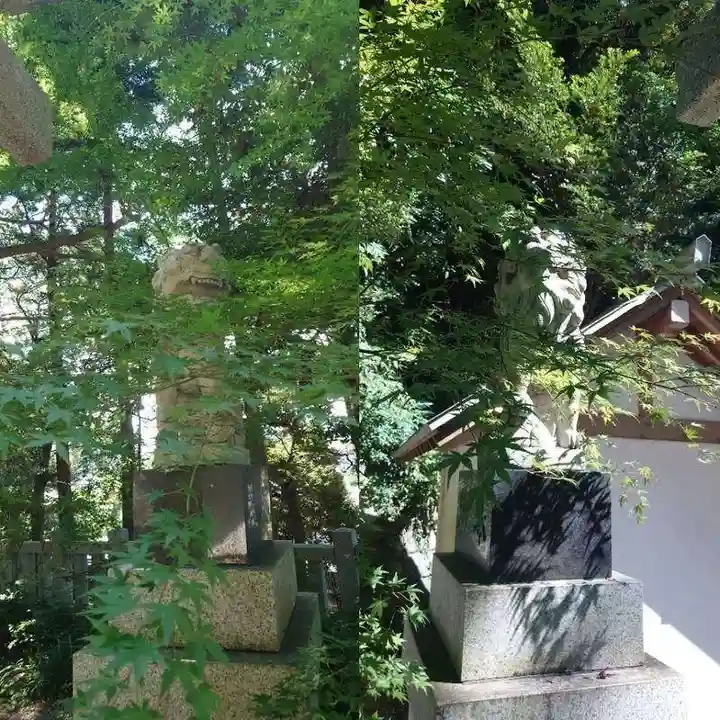 泉神社(茨城県)