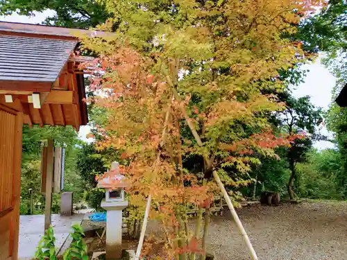 櫛田神社の自然