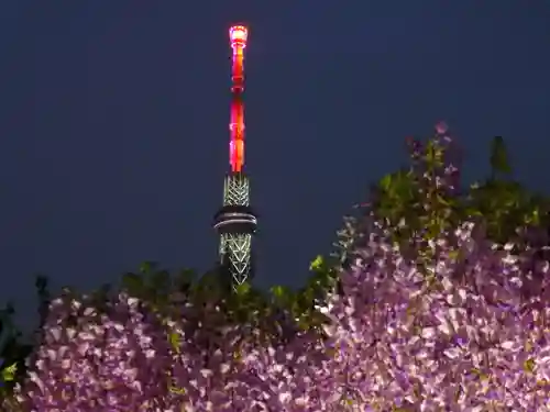 亀戸天神社の景色