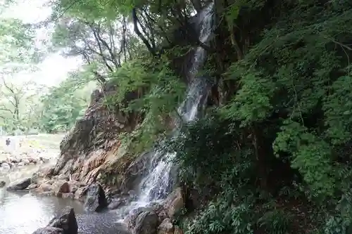 岐阜護國神社の自然