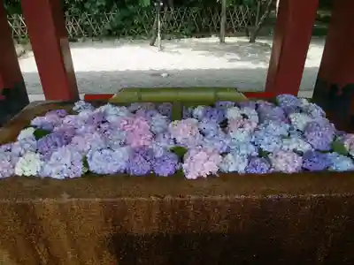 鶴岡八幡宮(神奈川県)