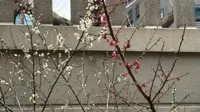 難波神社(大阪府)