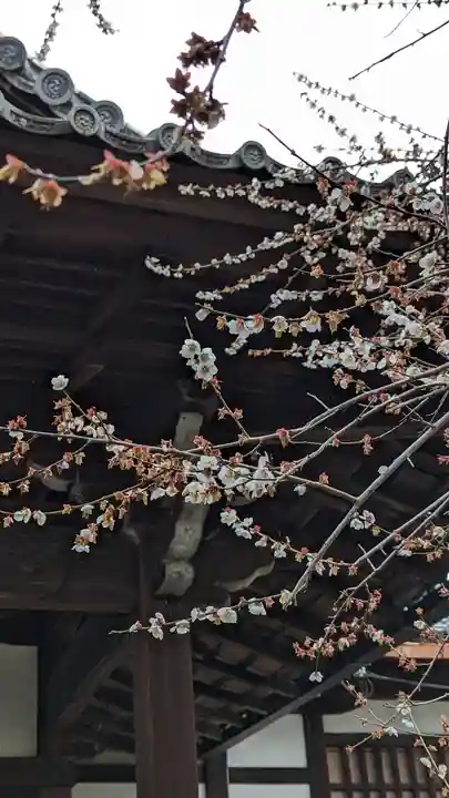 東北院(京都府)