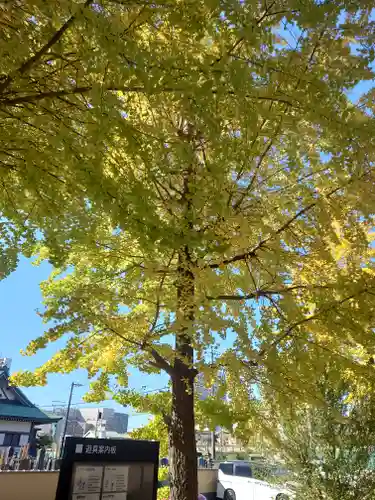 能満寺(神奈川県)