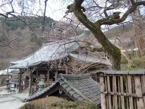 善峯寺(京都府)